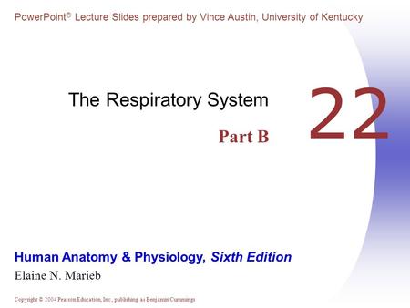 The Respiratory System Part B