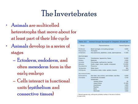 The Invertebrates Animals are multicelled heterotrophs that move about for at least part of their life cycle Animals develop in a series of stages –Ectoderm,