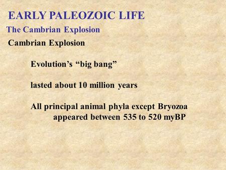 EARLY PALEOZOIC LIFE Cambrian Explosion Evolution’s “big bang” lasted about 10 million years All principal animal phyla except Bryozoa appeared between.