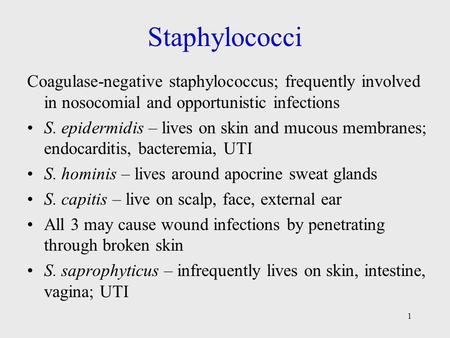 Staphylococci Coagulase-negative staphylococcus; frequently involved in nosocomial and opportunistic infections S. epidermidis – lives on skin and mucous.