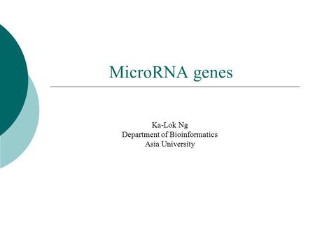MicroRNA genes Ka-Lok Ng Department of Bioinformatics Asia University.