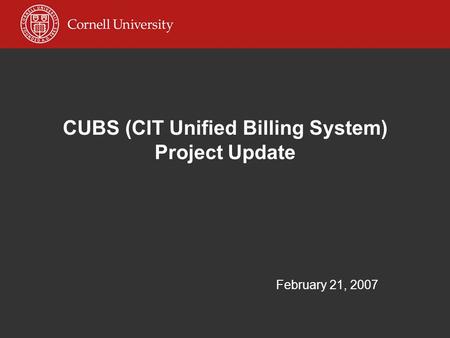 CUBS (CIT Unified Billing System) Project Update February 21, 2007.