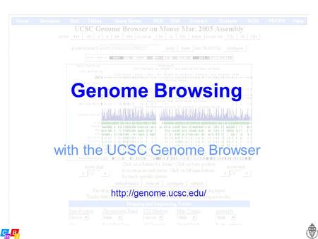 Genome Browsing with the UCSC Genome Browser