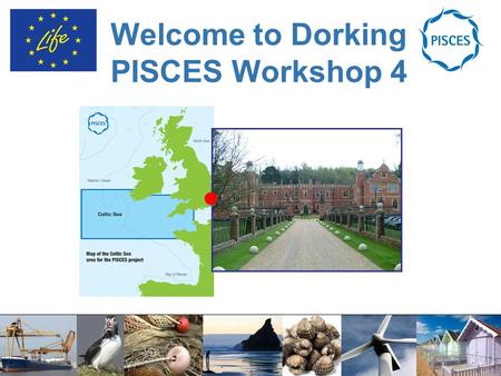 Welcome to Dorking PISCES Workshop 4. Introductions.