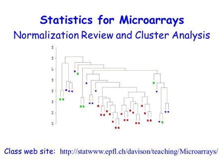 Normalization Review and Cluster Analysis Class web site:  Statistics for Microarrays.