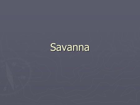 Savanna. Location ► A lot in Africa ► Some in Australia, India and South America.