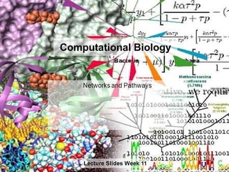 Computational Biology Networks and Pathways Lecture Slides Week 11.