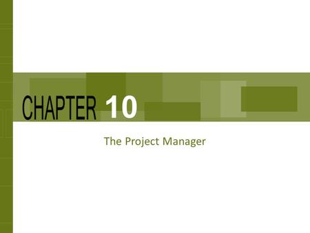10 The Project Manager (Premium) Teaching Strategies