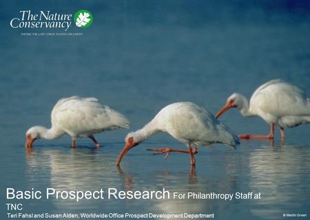 Basic Prospect Research For Philanthropy Staff at TNC