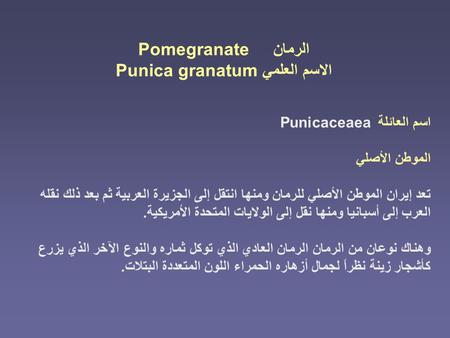 الاسم العلمي Punica granatum
