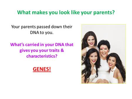 What makes you look like your parents? Your parents passed down their DNA to you. What’s carried in your DNA that gives you your traits & characteristics?
