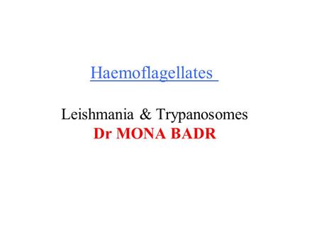Haemoflagellates Leishmania & Trypanosomes Dr MONA BADR