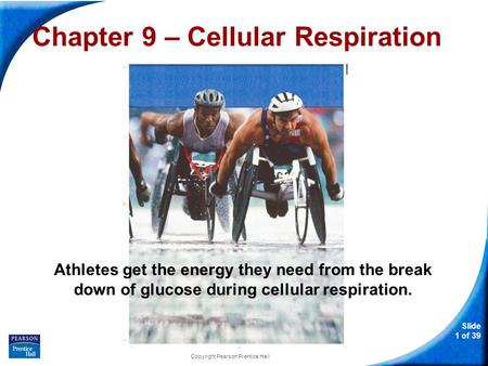 Slide 1 of 39 Copyright Pearson Prentice Hall Chapter 9 – Cellular Respiration Athletes get the energy they need from the break down of glucose during.