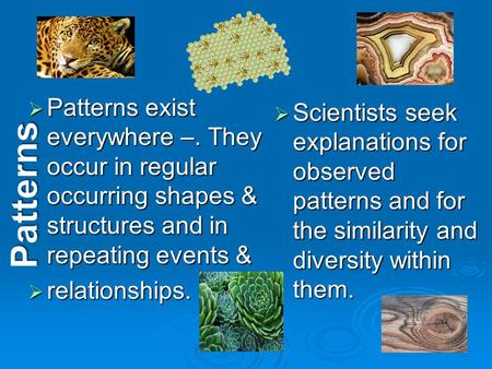 Patterns  Patterns exist everywhere –. They occur in regular occurring shapes & structures and in repeating events &  relationships.  Scientists seek.
