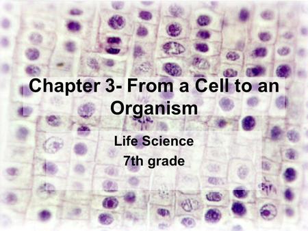 Chapter 3- From a Cell to an Organism