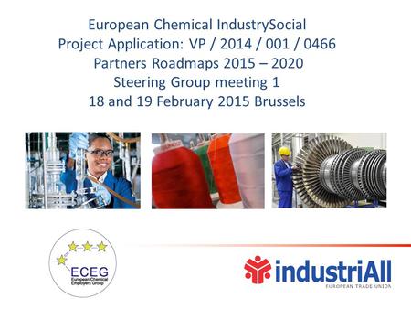 European Chemical IndustrySocial Project Application: VP / 2014 / 001 / 0466 Partners Roadmaps 2015 – 2020 Steering Group meeting 1 18 and 19 February.