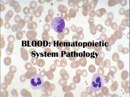 BLOOD: Hematopoietic System Pathology 1. 2 Hematopoiesis Fetal: stem cells migrate to liver, bone marrow, spleen,lymph nodes Postnatal: extramedullary.