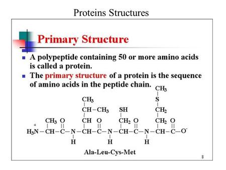 Proteins Structures Primary Structure.