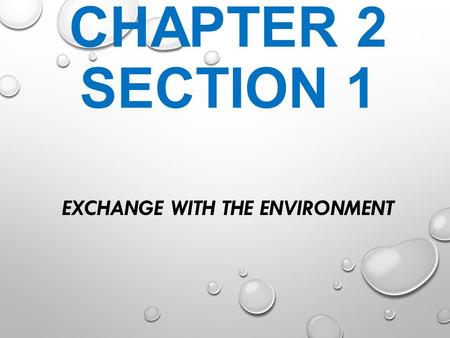 Exchange with the environment