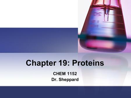 Chapter 19: Proteins CHEM 1152 Dr. Sheppard.
