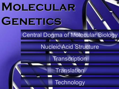 Molecular Genetics Central Dogma of Molecular Biology Nucleic Acid Structure Transcription Translation Technology.