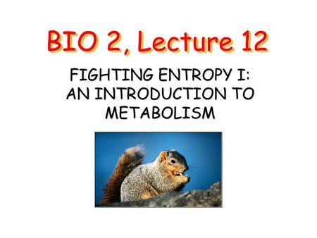 BIO 2, Lecture 12 FIGHTING ENTROPY I: AN INTRODUCTION TO METABOLISM.