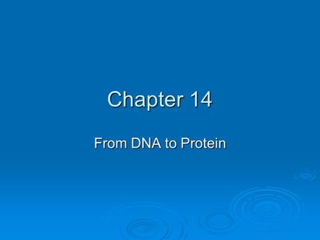 Chapter 14 From DNA to Protein.