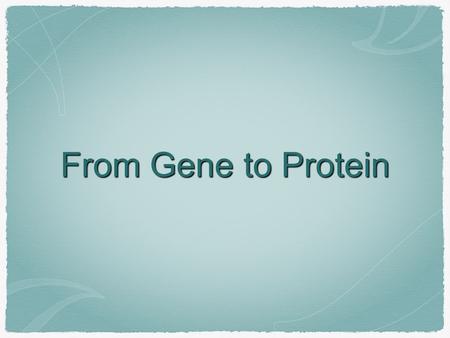 From Gene to Protein. Genes code for... Proteins RNAs.