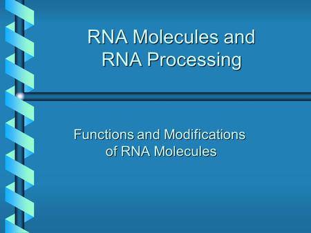 RNA Molecules and RNA Processing Functions and Modifications of RNA Molecules.