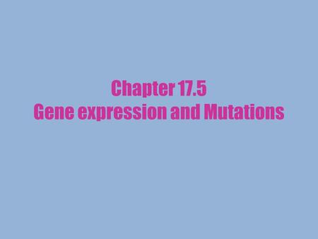 Chapter 17.5 Gene expression and Mutations