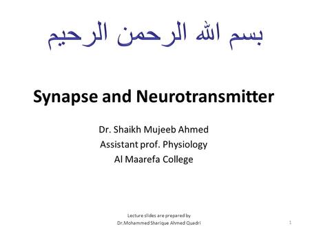Synapse and Neurotransmitter Dr. Shaikh Mujeeb Ahmed Assistant prof. Physiology Al Maarefa College 1 Lecture slides are prepared by Dr.Mohammed Sharique.
