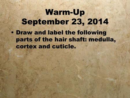 Warm-Up September 23, 2014  Draw and label the following parts of the hair shaft: medulla, cortex and cuticle.