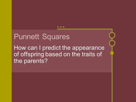 Punnett Squares How can I predict the appearance of offspring based on the traits of the parents?