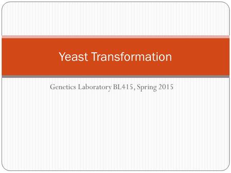 Genetics Laboratory BL415, Spring 2015 Yeast Transformation.