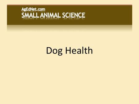 Dog Health. Dogs are carnivores...  But they can eat some plants  Nutritional health depends on receiving proper amounts of: Water Protein Fats Carbohydrates.