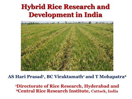 Hybrid Rice Research and Development in India AS Hari Prasad 1, BC Viraktamath 1 and T Mohapatra 2 1 Directorate of Rice Research, Hyderabad and 2 Central.