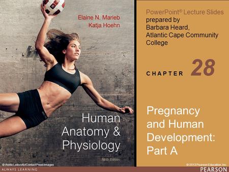 Pregnancy and Human Development: Part A