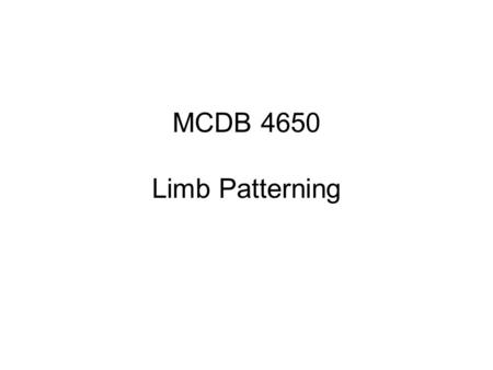 MCDB 4650 Limb Patterning. Which of the following is the most likely candidate for activating the expression of the different Tbx genes in the mesenchyme?