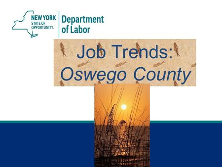 Job Trends: Oswego County. 2 Syracuse MSA* *Syracuse Metropolitan Statistical Area (MSA) includes Madison, Onondaga and Oswego counties. Jobs Gained or.