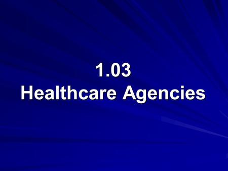 1.03 Healthcare Agencies.