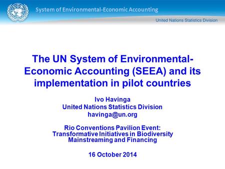 Ivo Havinga United Nations Statistics Division 