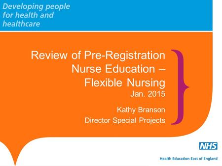 Review of Pre-Registration Nurse Education – Flexible Nursing Jan. 2015 Kathy Branson Director Special Projects.