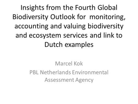 Marcel Kok PBL Netherlands Environmental Assessment Agency