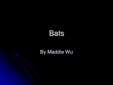 Bats By Maddie Wu. Introduction Bats are so cool. They’re the only mammals that can fly! Bats are some of the most amazing night time creatures of all.