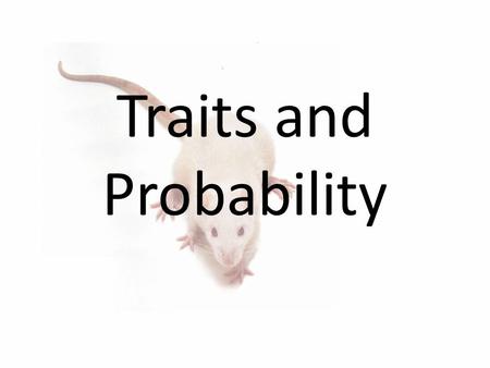 Traits and Probability