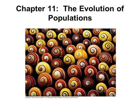 Chapter 11: The Evolution of Populations