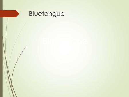 Bluetongue Bluetongue.