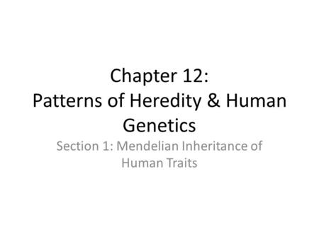 Chapter 12: Patterns of Heredity & Human Genetics