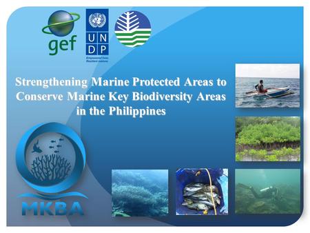 Strengthening Marine Protected Areas to
