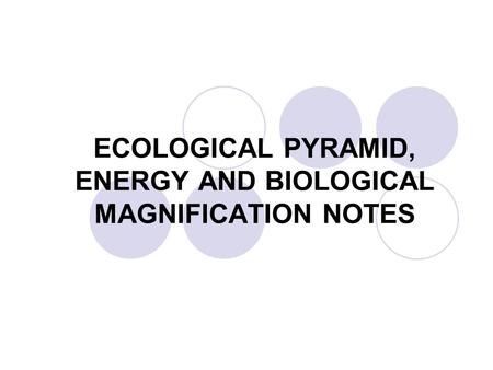 ECOLOGICAL PYRAMID, ENERGY AND BIOLOGICAL MAGNIFICATION NOTES
